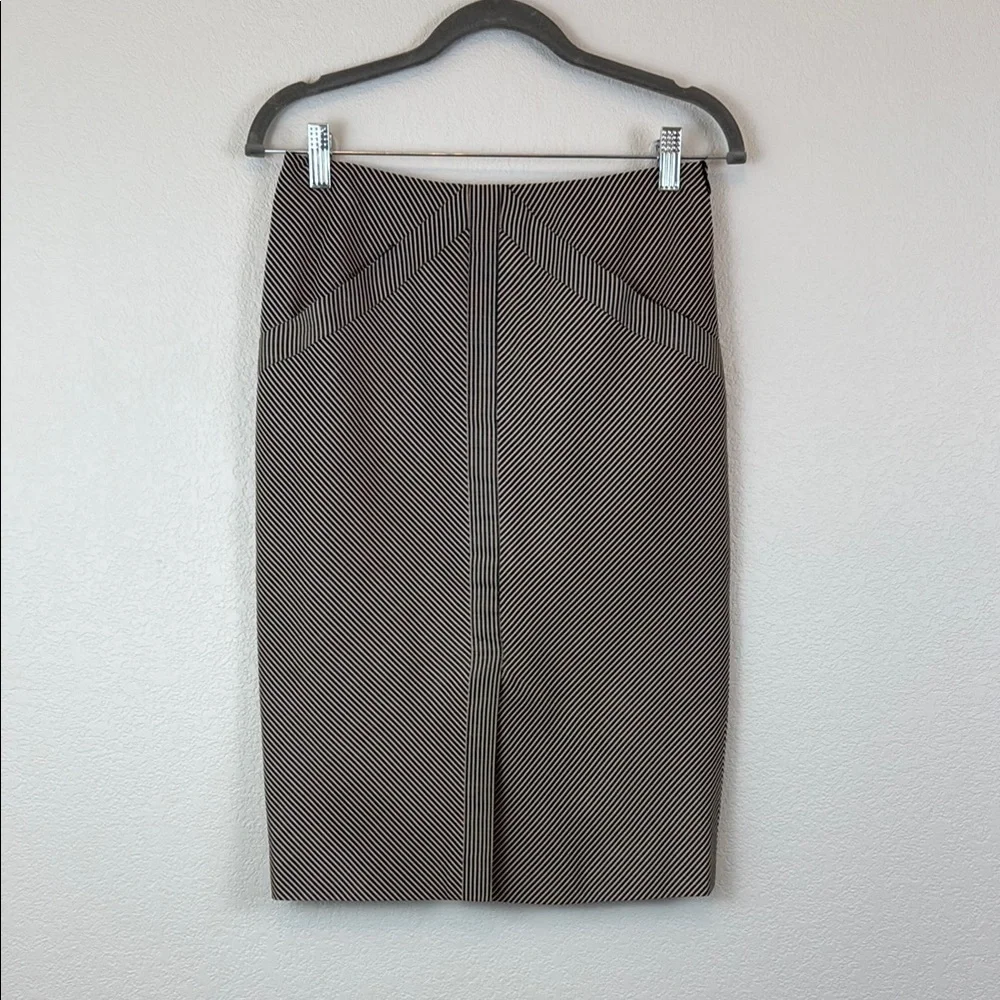 Rosaria Lamanna‎ Elegant Beige and Black Striped Knee Length Skirt Size 2